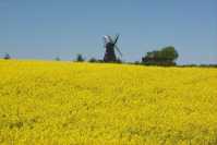landscapes